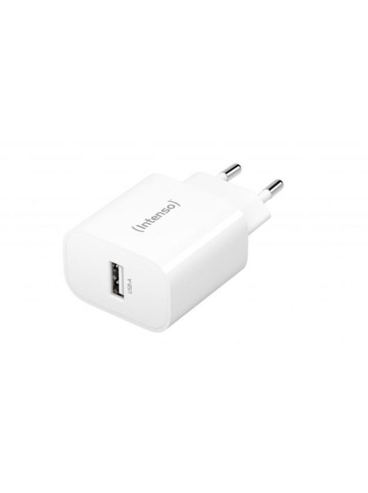 Intenso W5A Power Adapter White