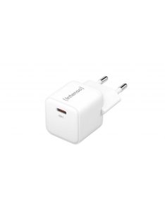 Intenso W30C GaN Power Adapter White