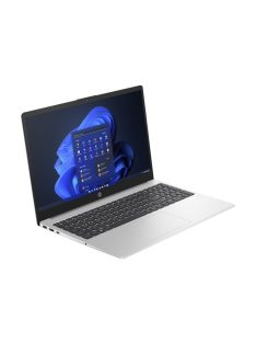 HP 255 G10 Silver