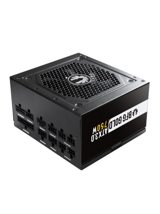 BitFenix 750W 80+ Gold BFG Gold ATX3.0