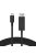 Belkin USB-C to DisplayPort 1.4 male/male cable 2m Black