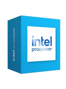 Intel Processor 300 3,9GHz 6MB LGA1700 BOX