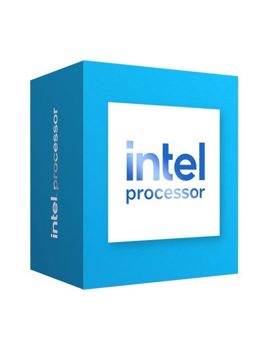 Intel Processor 300 3,9GHz 6MB LGA1700 BOX