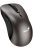 Genius Ergo 8100S Wireless mouse Champagne Titanium