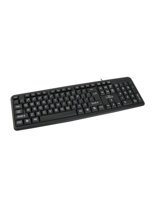 Esperanza Titanium TK102 PS/2 Keyboard Black UK