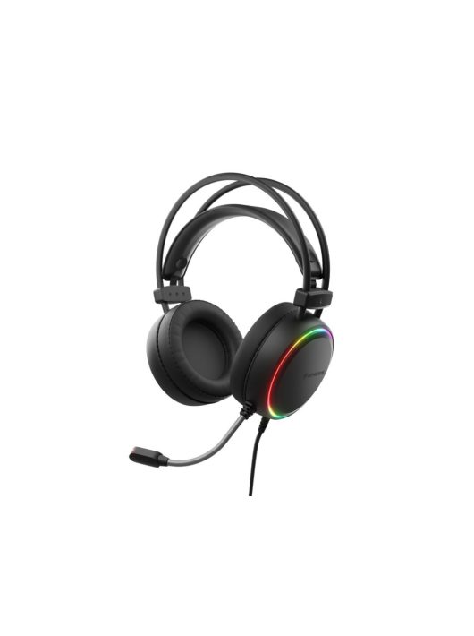 Genesis Neon 613 RGB Gaming Headset Black