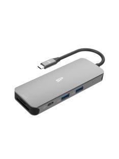 Silicon Power SR30 Docking Station Grey