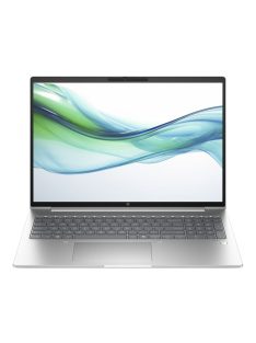 HP ProBook 465 G11 Silver