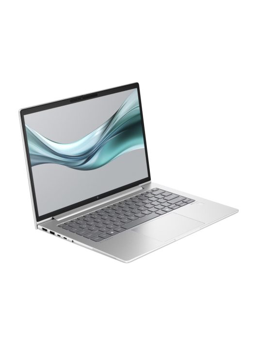 HP EliteBook 645 G11 Silver