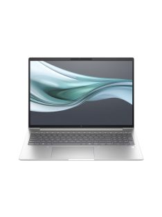 HP EliteBook 660 G11 Silver