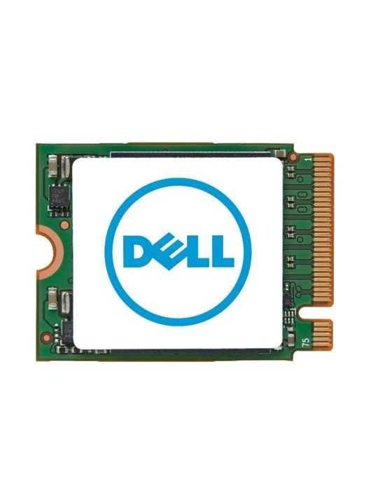 Dell 1TB M.2 2230 NVME Class 25