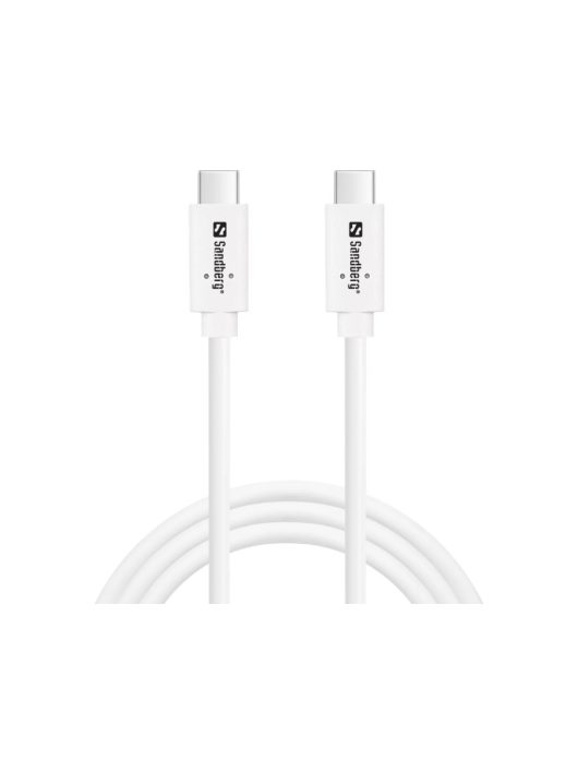 Sandberg USB-C 100W Cable 1m White