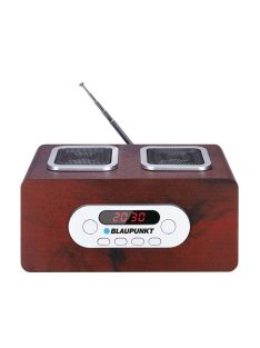 Blaupunkt PP5BR Portable Radio Wood