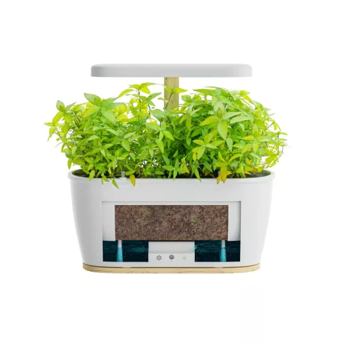 Extralink Smart Garden, okosültető, Wi-Fi, Bluetooth