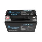 Extralink LiFePO4 100Ah battery, 12.8V, BMS