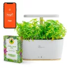 Extralink Smart Garden + herbs set, okoskaspó, WiFi, Bluetooth