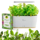 Extralink Smart Garden + herbs set, okoskaspó, WiFi, Bluetooth