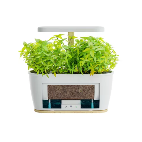 Extralink Smart Garden + herbs set, okoskaspó, WiFi, Bluetooth