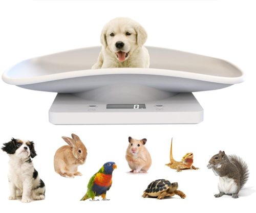 Extralink Home NT1 Universelle Waage, 10 kg