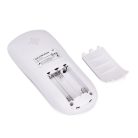 Extralink Vital+ Advanced, muscle and nerve electrostimulator, TENS EMS