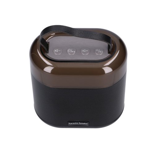 Extralink Kids karaoke LED speaker, 1 microphone, black