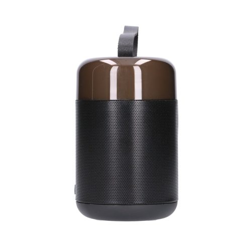 Extralink Kids karaoke LED speaker, 1 microphone, black