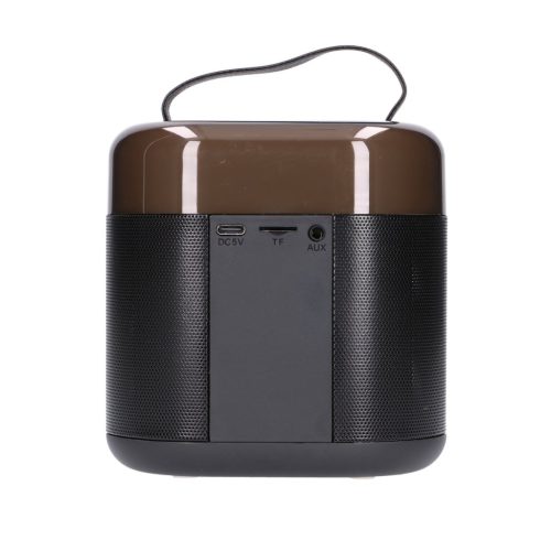 Extralink Kids karaoke LED speaker, 1 microphone, black