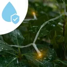 Extralink LED fényfüggöny 300 LED karácsonyi fények, beltéri jégcsap girland 3x3m