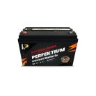 Perfektium PB series 12.8V 100Ah Lithium LiFePO4 battery (BMS, Bluetooth) for solar systems, motorhomes, boats