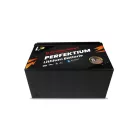 Perfektium PB-Serie 25.6V 100Ah Lithium LiFePO4 Akku (BMS, Bluetooth) für Solarsysteme, Wohnmobile, Boote