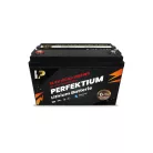 Perfektium PB-Serie 25.6V 100Ah Lithium LiFePO4 Akku (BMS, Bluetooth) für Solarsysteme, Wohnmobile, Boote