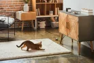 Petcube Play 2 kisállat-megfigyelő kamera lézerrel, Wi-Fi, 1080p