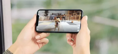 Petcube Play 2 kisállat-megfigyelő kamera lézerrel, Wi-Fi, 1080p
