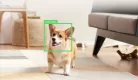 Petcube Play 2 kisállat-megfigyelő kamera lézerrel, Wi-Fi, 1080p