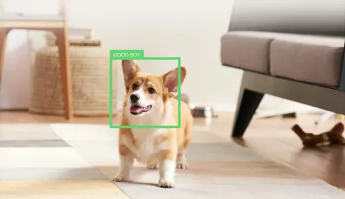 Petcube Play 2 kisállat-megfigyelő kamera lézerrel, Wi-Fi, 1080p