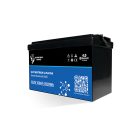 Ultimatron France UBL Serie 12.8V 150Ah PRO Lithium LiFePO4 Batterie (integriertes BMS und Bluetooth) für Solarsysteme, Wohnmobile, Boote
