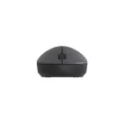 Xiaomi Wireless Mouse Lite 2 – kabellose Maus, schwarz – 1000 dpi